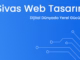 sivas web tasarım
